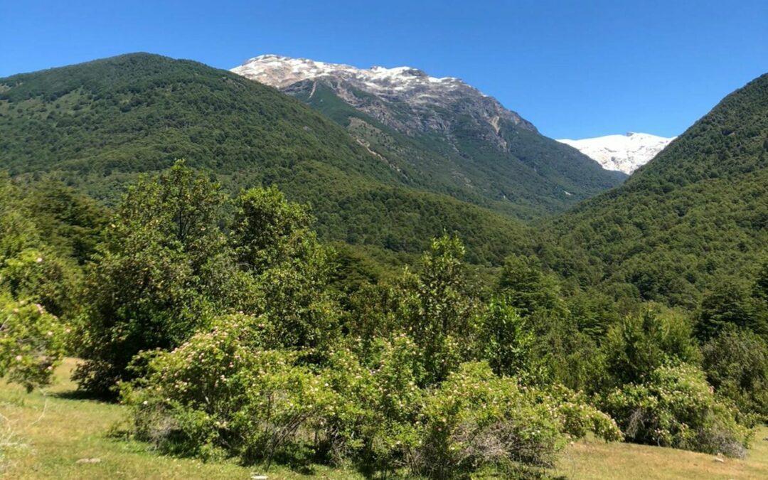Campo Con 5 Km De Río Barrancas En Llanada Grande