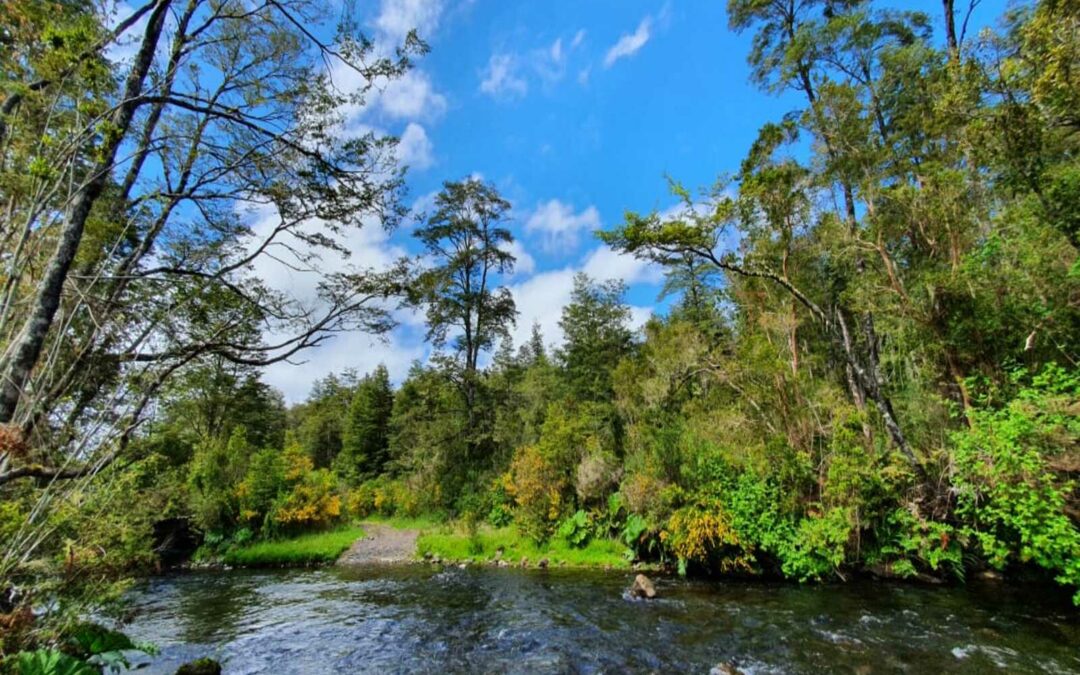 Campo con Orilla de Río en Puerto Octay