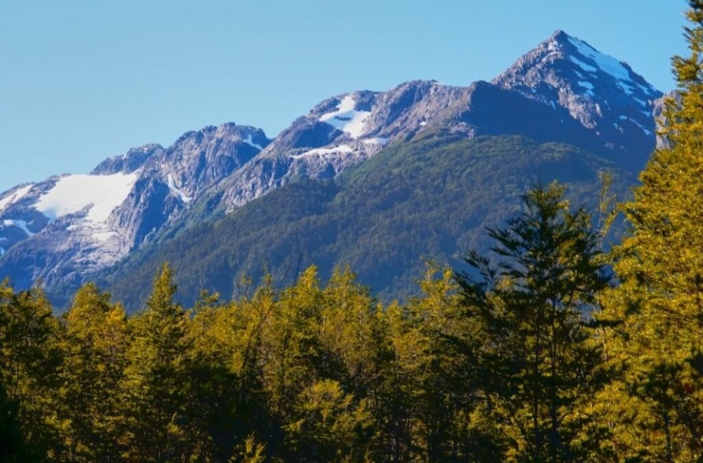 Parcela Aguas de la Patagonia Aysén