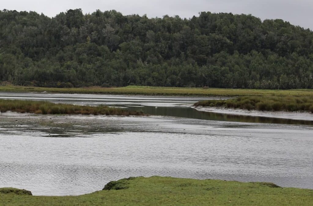 Campo en Chiloé Para Conservación