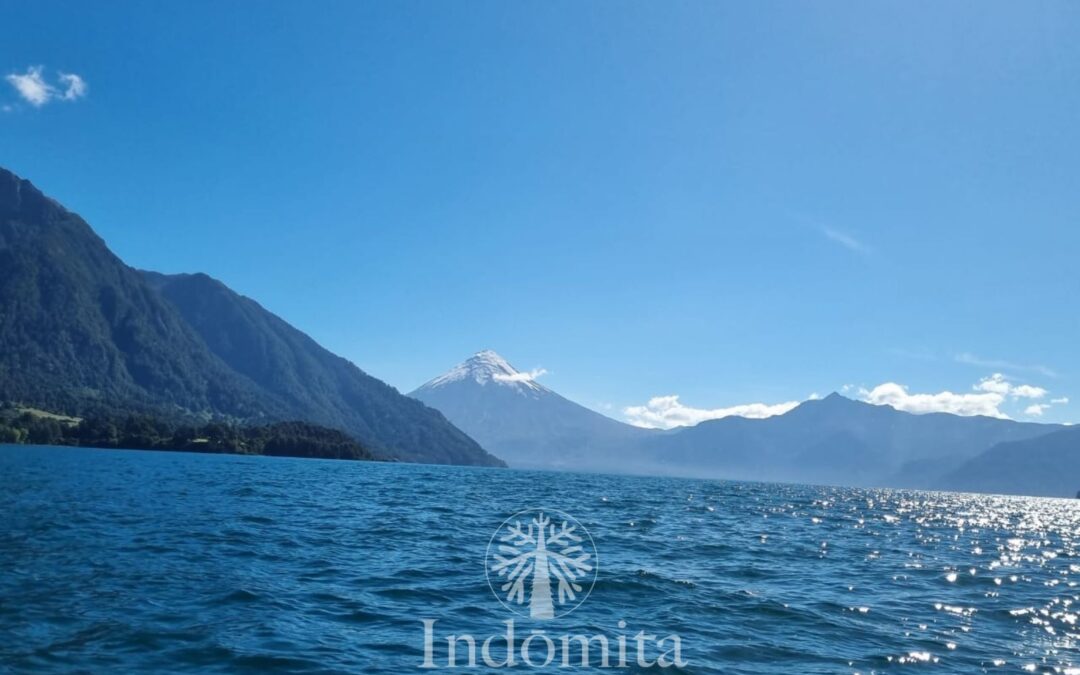 Parcela Con Orilla De Lago De Todos Los Santos