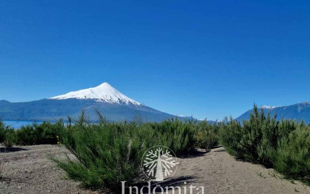 Parcela De 5.000 M² A Orilla Del Lago Llanquihue