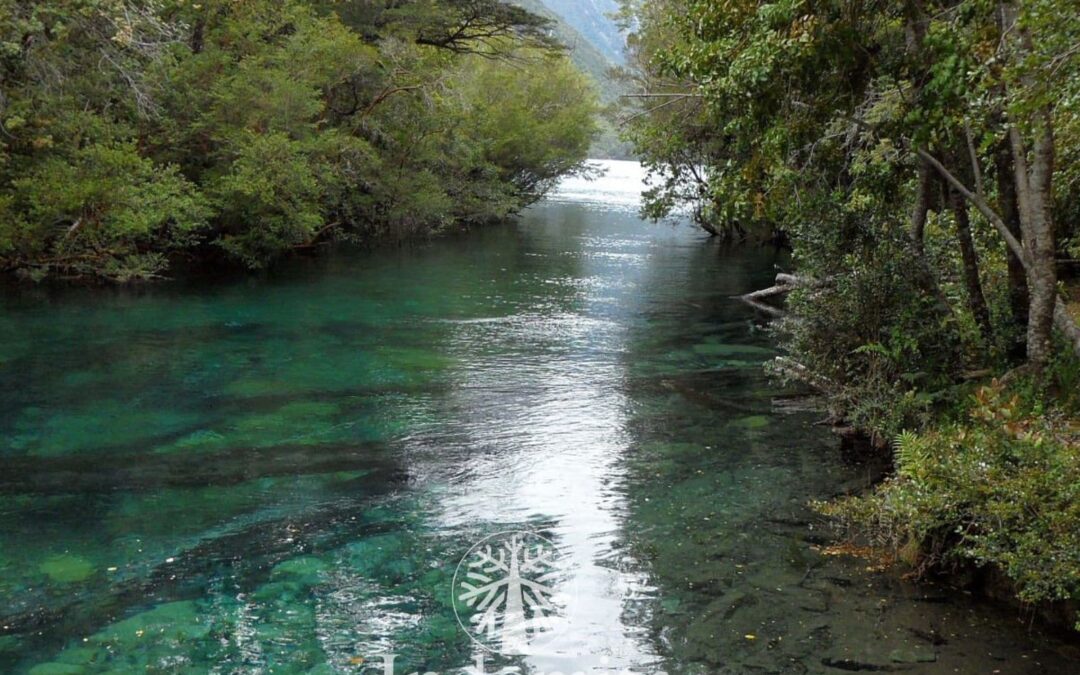 Parcela Con Orilla De Rio Puelo