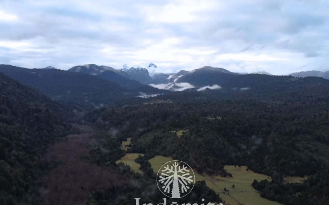 Terrenos En Venta Para Bonos Verdes O Conservación en Región de los lagos